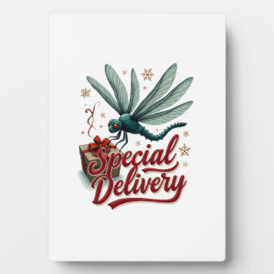 Present Delivery Dragonfly Plaque