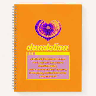 Presentation : The effect of love in the big bang Notebook