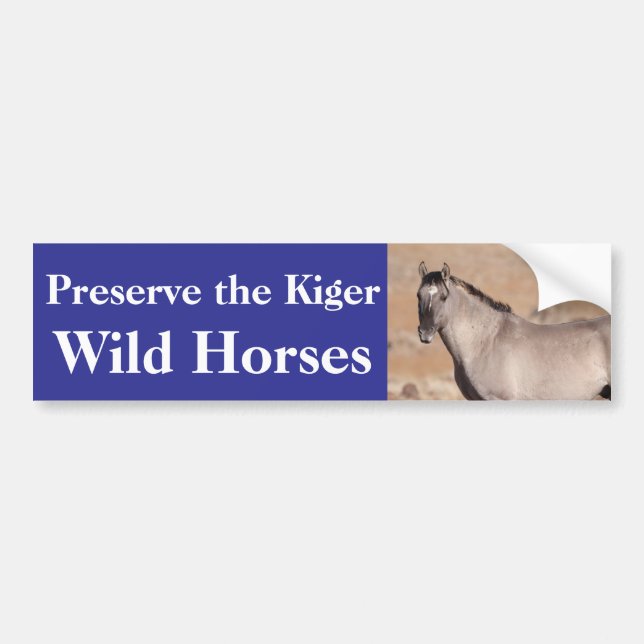Preserve the Kiger Wild Horses Bumper Sticker (Front)