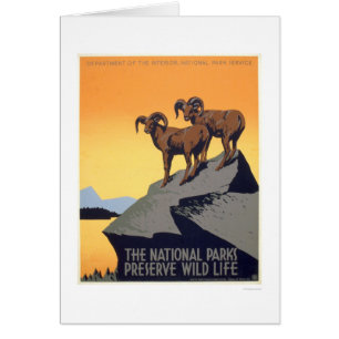 Preserve Wild Life 1939 WPA
