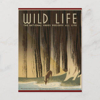 Preserve Wild life Postcard