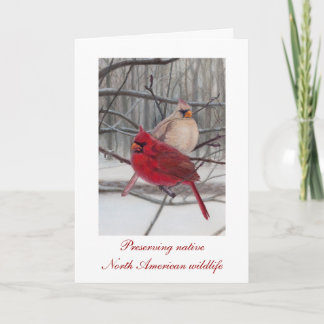 Preserving Wildlife Holiday Card