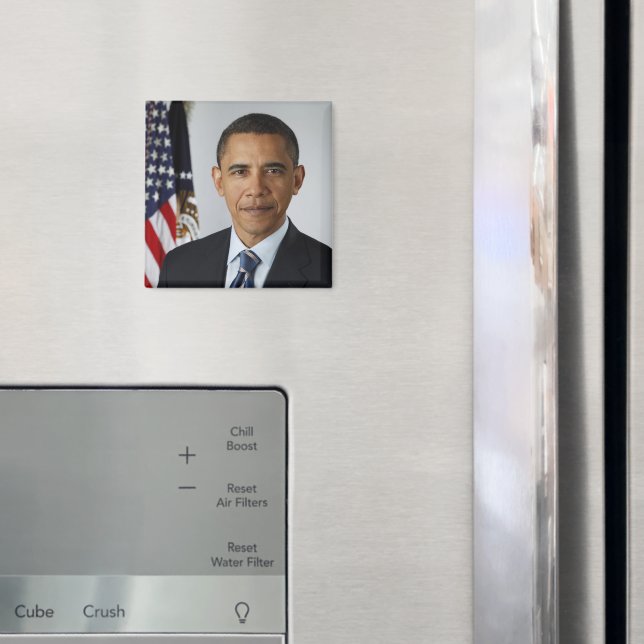 President Barack Obama 1st Term Official Portrait Magnet (In Situ (Fridge))