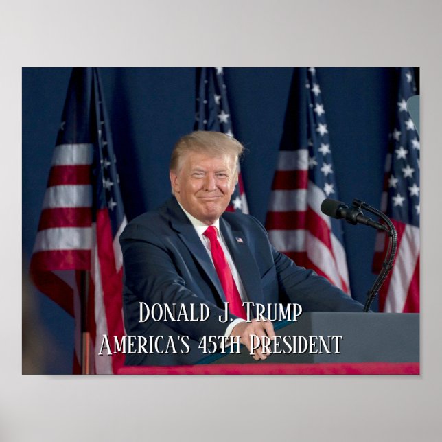 President Donald J. Trump Mt Rushmore Speech Poster (Front)