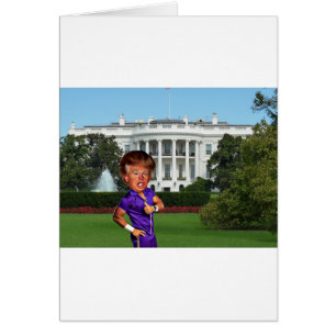 president donald trump