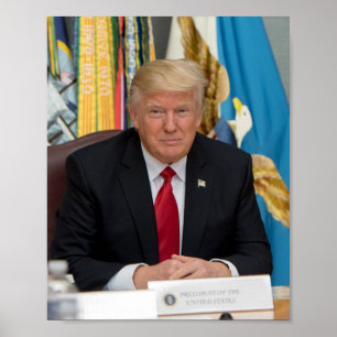 President Donald Trump Poster
