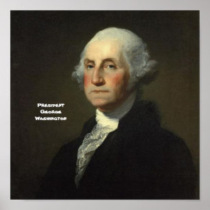 President George Washington Poster