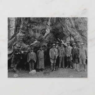 President Roosevelt and John Muir California 1903 Postcard