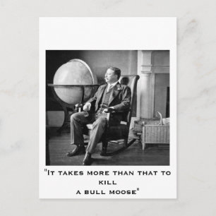 President Teddy Roosevelt Vintage White House Postcard