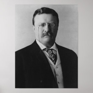 President Theodore Roosevelt - 1904 Poster