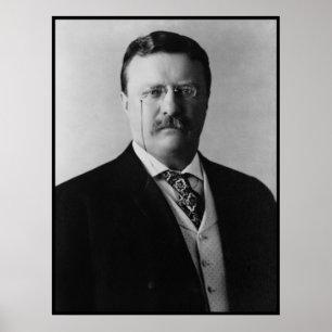 President Theodore Roosevelt Portait Poster