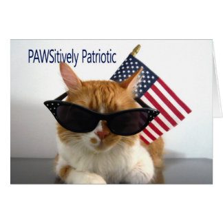 Presidents' Day - PAWSitively Patriotic Cat