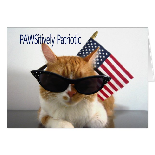 Presidents' Day - PAWSitively Patriotic Cat (Front Horizontal)