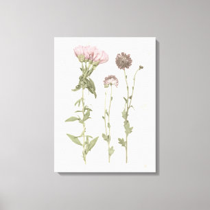 Pressed Blooms - Pink Canvas Print