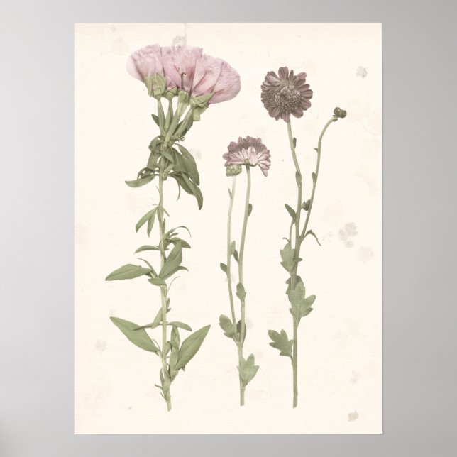 Pressed Blooms - Pink Poster (Front)