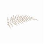 Pressed Botanical Fern Leaf - Mix and Match Colour Photo Sculpture Magnet<br><div class="desc">Choose any colour to match or complement your home decor colour palette, or favourite shade, as the background of this beautiful botanical design with a single pressed fern leaf. Add optional name, saying, or text for a completely unique and personalised work of art. Image Code: cacfl Another original exclusive design...</div>