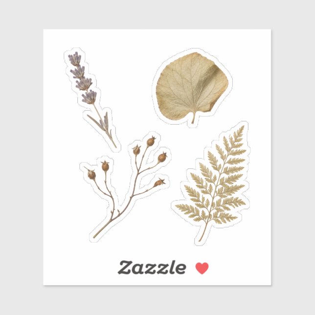 Pressed Botanical Specimen Nature Collection (Sheet)