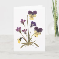 Pressed Flower Design