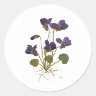 Pressed Flower Design Classic Round Sticker