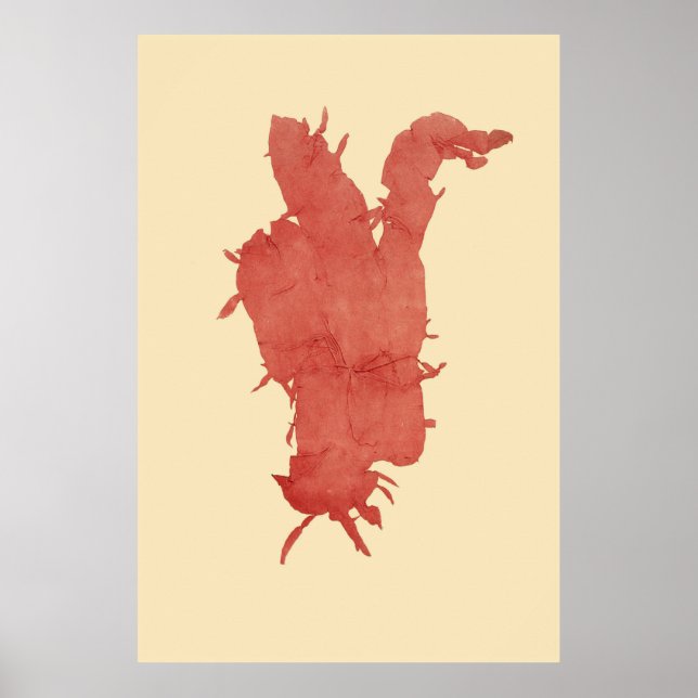 Pressed Seaweed Original Second Of Four Poster (Front)