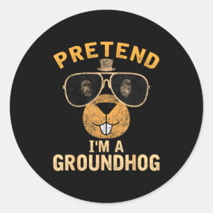 Pretend Im A Groundhog - Lazy Halloween Costume  Classic Round Sticker