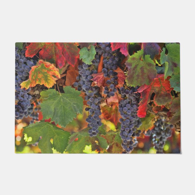 Prettiest Wine Country Door Mat (Front)