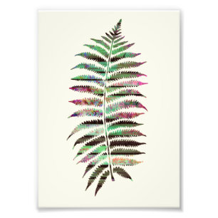Pretty Abstract Botanical Peacock Leaf Photo Print
