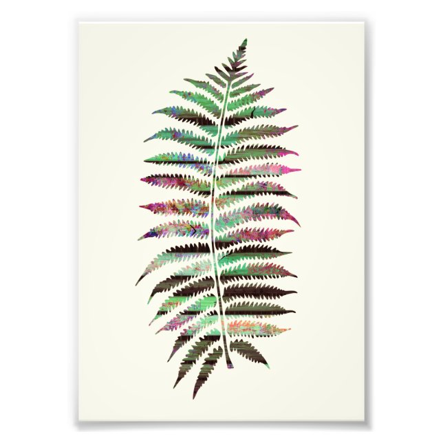 Pretty Abstract Botanical Peacock Leaf Photo Print (Front)