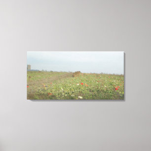 Pretty Amish Pumpkin Farm in the Midwest Country Canvas Print