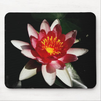 Pretty and Pink Mouse Pad