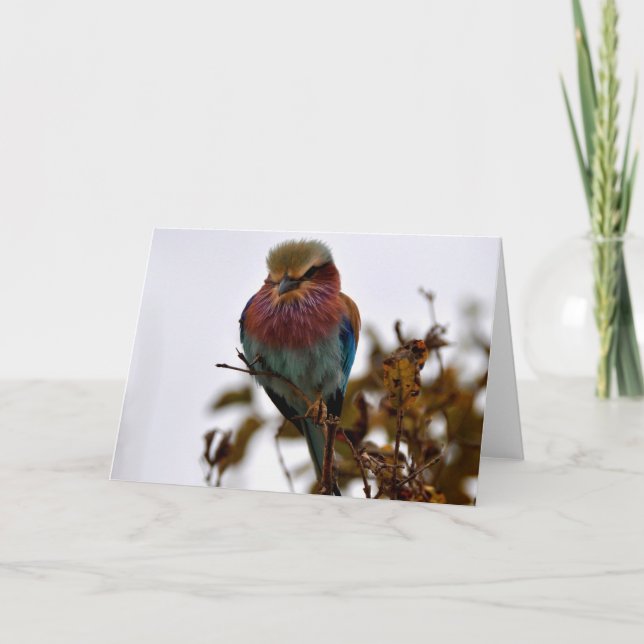 Pretty and Proud Card (Front)