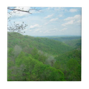 Pretty Appalachian Overlook Tile