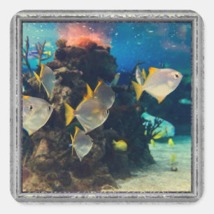 Pretty Aquarium Fish Square Sticker