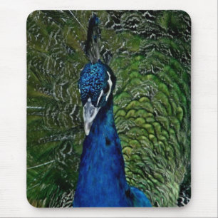 pretty as a peacock mousepad
