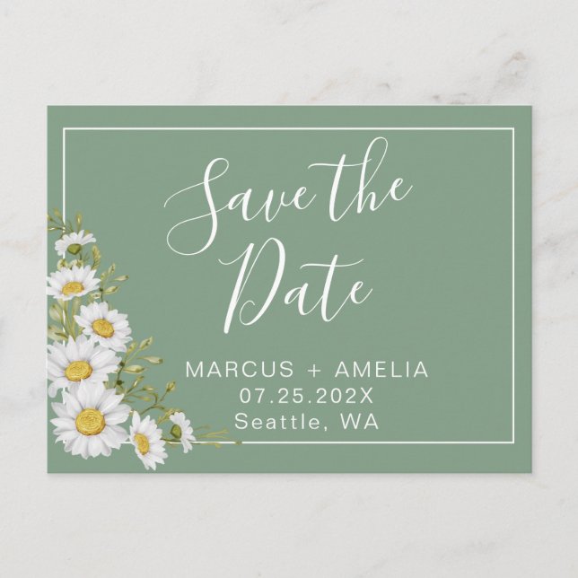 Pretty Basil Green & White Daisies Announcement Postcard (Front)