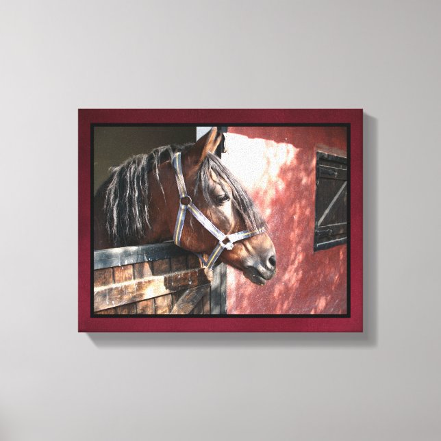 Pretty Bay Horse in a Sunlit Stable Canvas Print (Front)