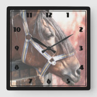 Pretty Bay Horse in a Sunlit Stable