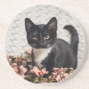 Pretty Bella Rose Coaster