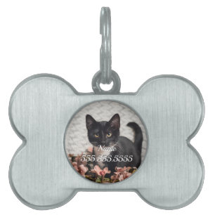 Pretty Bella Rose Pet Tag
