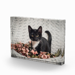 Pretty Bella Rose Photo Block