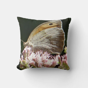 Pretty big butterfly cushion
