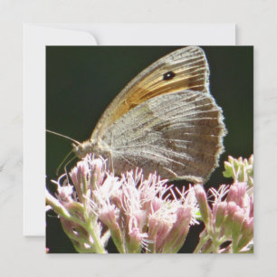 Pretty big butterfly flat card