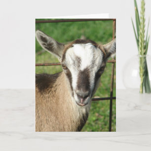 Pretty Billy Kid Card