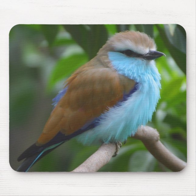 Pretty Bird Mousepad (Front)