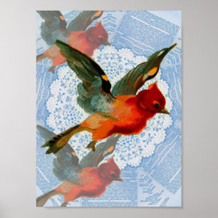 Pretty Birdie Poster