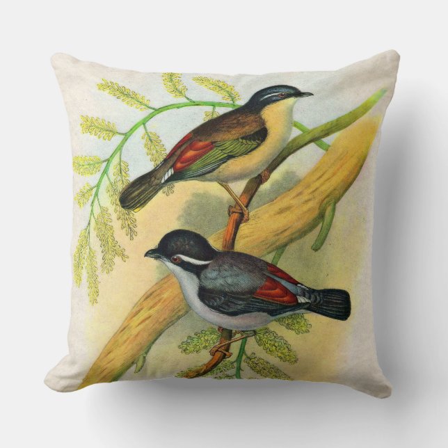 pretty birds print cushion (Front)