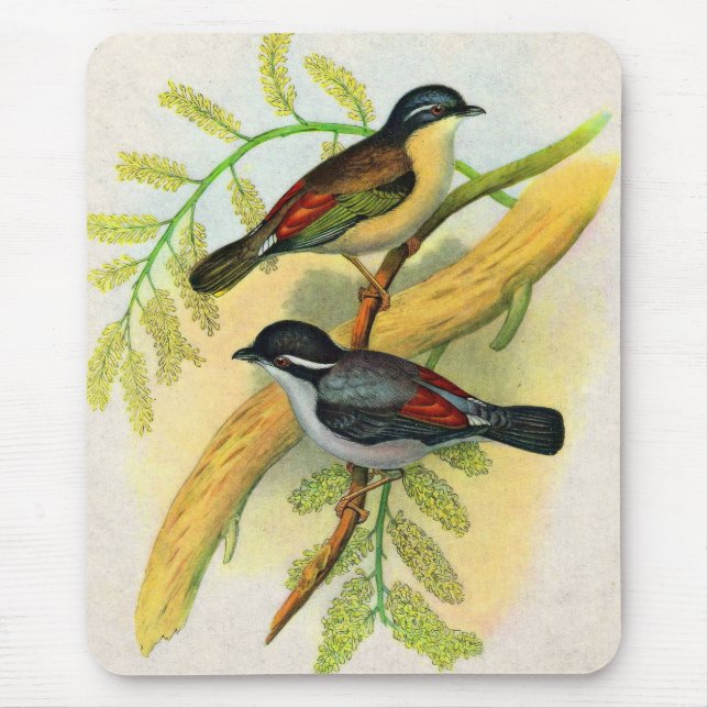 pretty birds print mouse pad (Front)