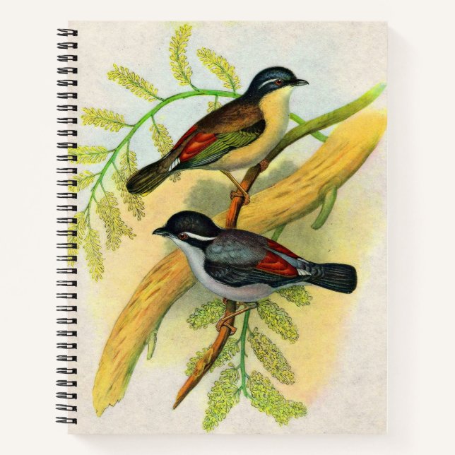 pretty birds print notebook (Front)