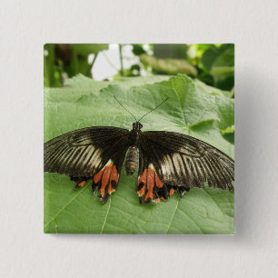 Pretty Black Red and Gold Butterfly Button