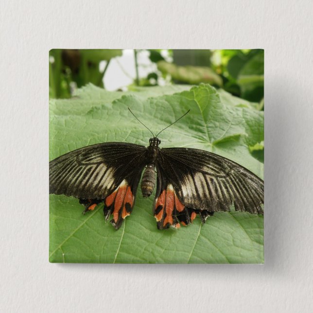 Pretty Black Red and Gold Butterfly Button (Front)